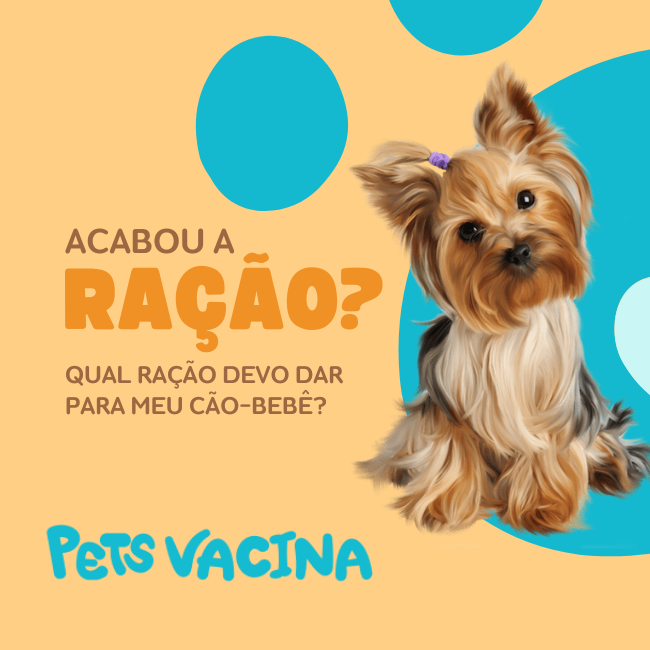 Qual ração devo dar para cães recém nascidos?