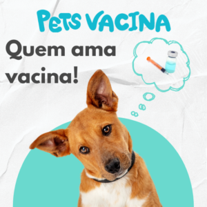 Vacinação Contra Raiva, quando Fazer?